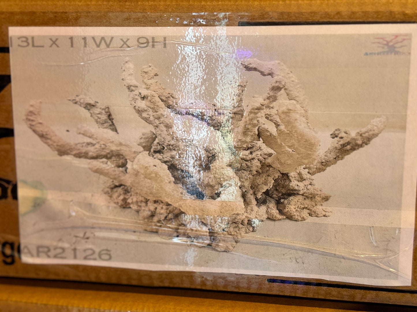 Tonga Medium Art Reef Rock Structure WYSIWYG