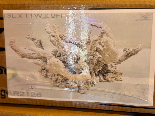 Tonga Medium Art Reef Rock Structure WYSIWYG