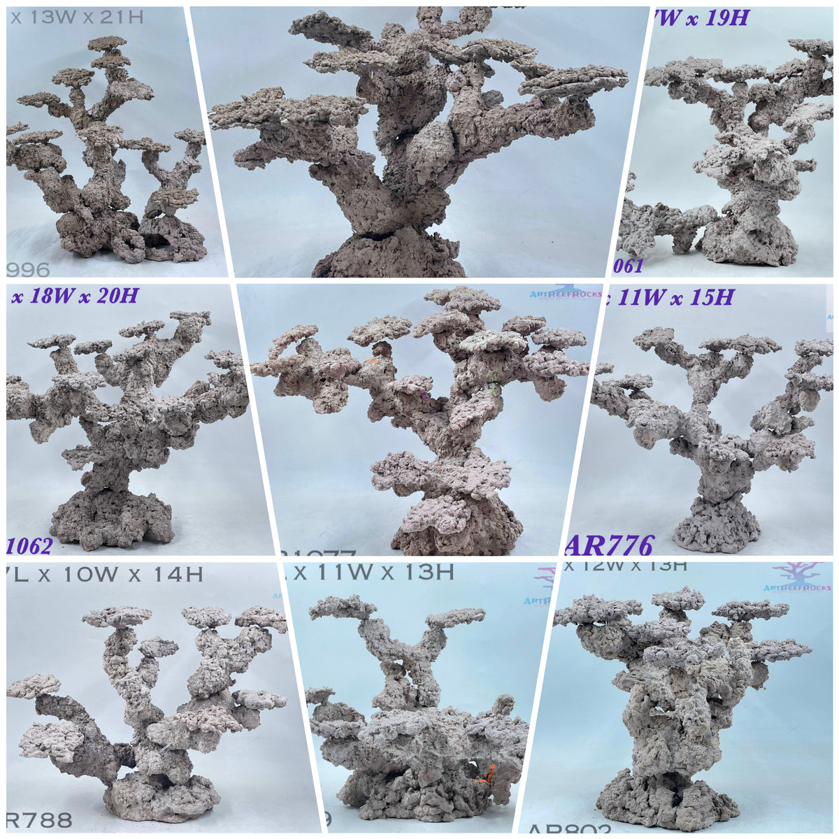 Biggs Lagoon - Marine Reef Livestock & Aquarium Supplies